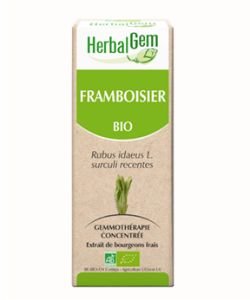 Framboisier (Rubus idaeus) bourgeon BIO, 15 ml