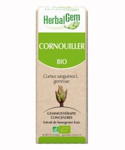 Cornouiller (Cornus sanguinea gemmae) bourgeon BIO, 15 ml