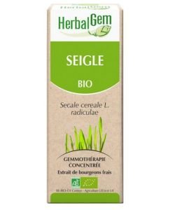 Seigle (Secale cereale) radicelles BIO, 50 ml