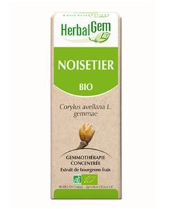 Noisetier (Corylus avellana) bourgeon BIO, 15 ml