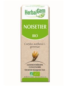 Hazel (Corylus avellana) bud BIO, 15 ml