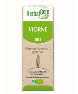 Viorne (Viburnum lantana) bourgeon BIO, 15 ml
