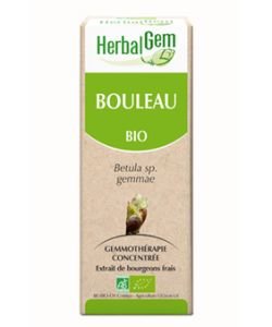 Bouleau (Betula) bourgeon BIO, 15 ml