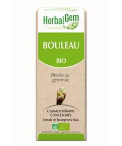 Birch (Betula) bud BIO, 15 ml