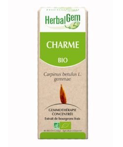 Hornbeam (Carpinus betulus) bud BIO, 15 ml