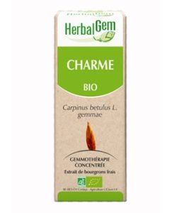 Charme (Carpinus betulus) bourgeon BIO, 15 ml