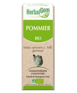 Pommier (Malus sylvestris) bourgeon BIO, 15 ml