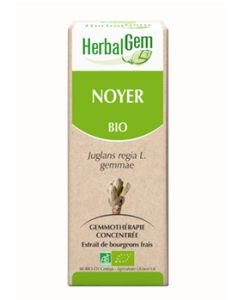 Noyer (Juglans regia) bourgeon BIO, 15 ml
