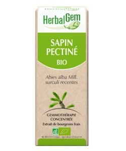 Sapin pectiné (Abies pectinata) j. p. BIO, 15 ml