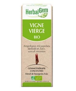 Vigne vierge (Ampelopsis veitchii) j.p. BIO, 15 ml