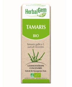 Tamaris (Tamarix gallica) bourgeon BIO, 15 ml