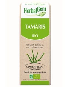 Tamaris (Tamarix gallica) bourgeon BIO, 50 ml