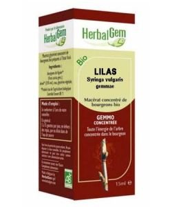 Lilac (Syringa vulgaris gemmae) bud BIO, 15 ml