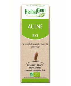 Alder (Alnus glutinosa) bud BIO, 15 ml