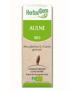 Aulne (Alnus glutinosa) bourgeon BIO, 15 ml