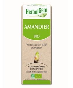 Amandier (Prunus amygdalus) bourgeon BIO, 15 ml