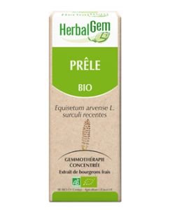 Prêle (Equisetum arvense) bourgeon BIO, 15 ml