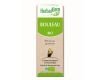 Bouleau (Betula) bourgeon