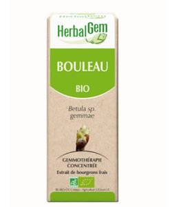 Bouleau (Betula) bourgeon BIO, 50 ml