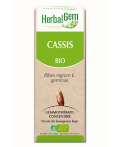 Cassis (Ribes nigrum) Bourgeon BIO, 15 ml