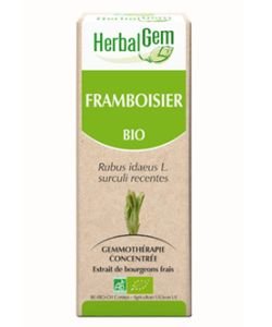 Framboisier (Rubus idaeus) bourgeon BIO, 30 ml