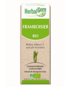 Framboisier (Rubus idaeus) bourgeon BIO, 50 ml