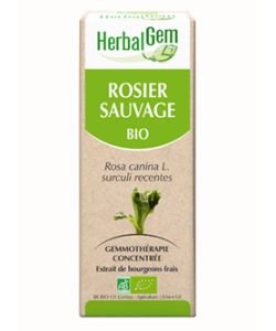 Rosier sauvage (Rosa canina L.) j. p. BIO, 15 ml