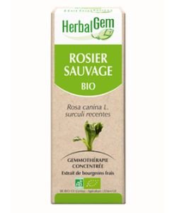 Dog Rose (Rosa canina L.) jp BIO, 15 ml