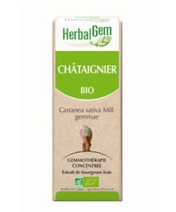Châtaignier (Castanea vesca) bourgeon BIO, 15 ml
