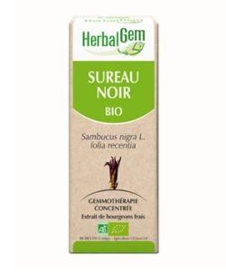 Sureau noir (Sambucus Nigra) bourgeon BIO, 15 ml