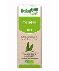 Olivier (Olea europea) j.p. BIO, 15 ml
