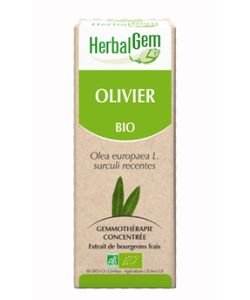 Olive (Olea europea) jp BIO, 15 ml