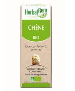 Chêne (Quercus robur) bourgeon BIO, 15 ml