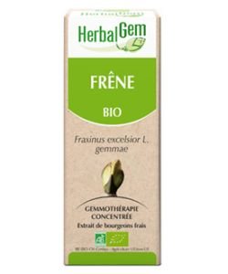 Frêne (Fraxinus excelsior) bourgeon BIO, 15 ml