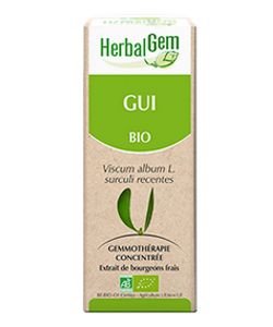 Gui (Viscum album) j.p. BIO, 15 ml