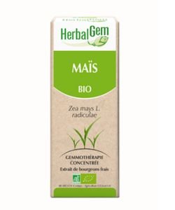 Maïs (Zea mays) radicelles BIO, 15 ml