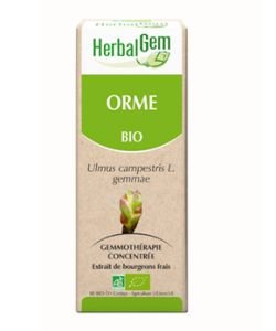 Orme (Ulmus Campestris) bourgeon BIO, 15 ml