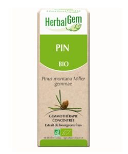 Pin  (Pinus Montana) bg BIO, 15 ml