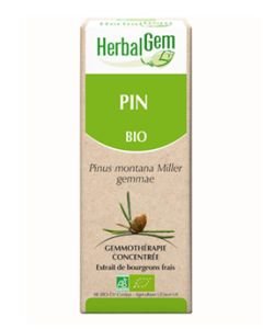 Mountain Pine (Pinus Montana) bg BIO, 15 ml