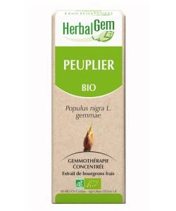 Peuplier (Populus Nigra) bourgeon BIO, 15 ml