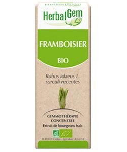 Framboisier (Rubus idaeus) bourgeon - sans emballage BIO, 15 ml