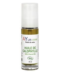 Huile de Calophylle