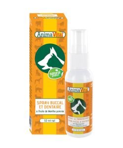 Spray buccal & dentaire, 50 ml