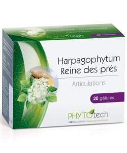 Harpagophytum, Meadowsweet - Phytotech, 20 capsules