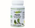 Bourgeons de figuier - sans alcool