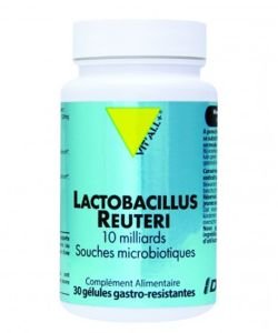 Lactobacillus Reuteri