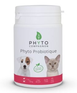Phyto Probiotique - DLUO 07/2017, 60 gélules