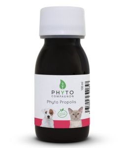 Phyto Propolis, 100 ml