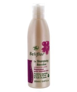 Repairing Shampoo - Dry Hair, 250 ml