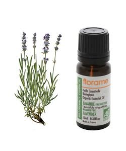 Fine lavender (Lavandula angustifolia) BIO, 10&nbsp;ml